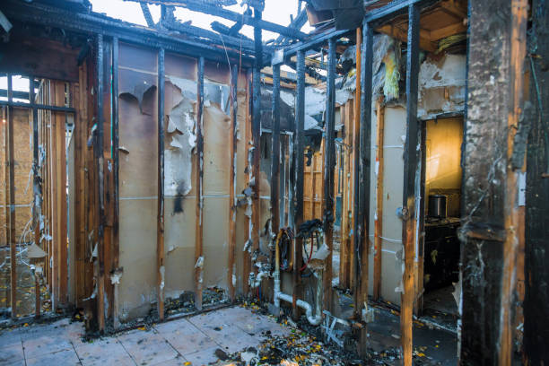 Professional Smoke Damage Restoration technician working in Scandia, MN